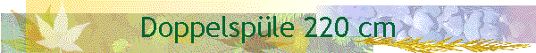 Doppelspüle 220 cm Spüldienst Spülservice Doppelspüle 220 cm Spüldienst Spülservice