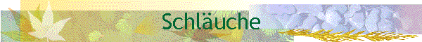 Spüldienst Spülservice Schlauchverleih Spüldienst Spülservice Schlauchverleih